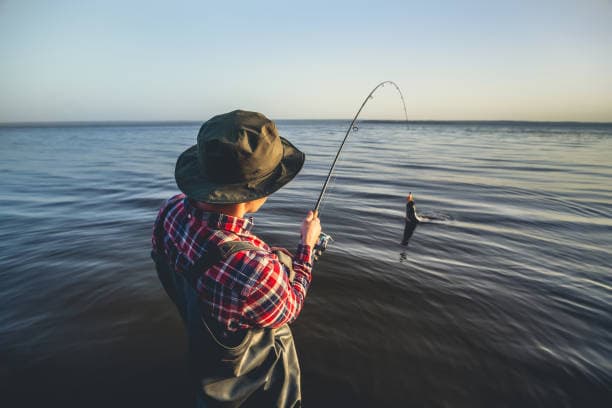 istockphoto-802325218-612x612