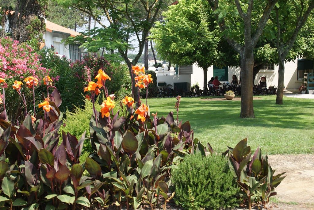 jardin (Copier)