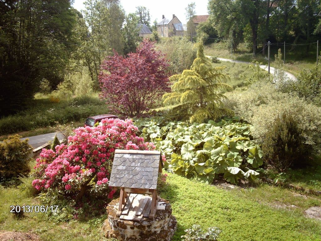 jardin 1