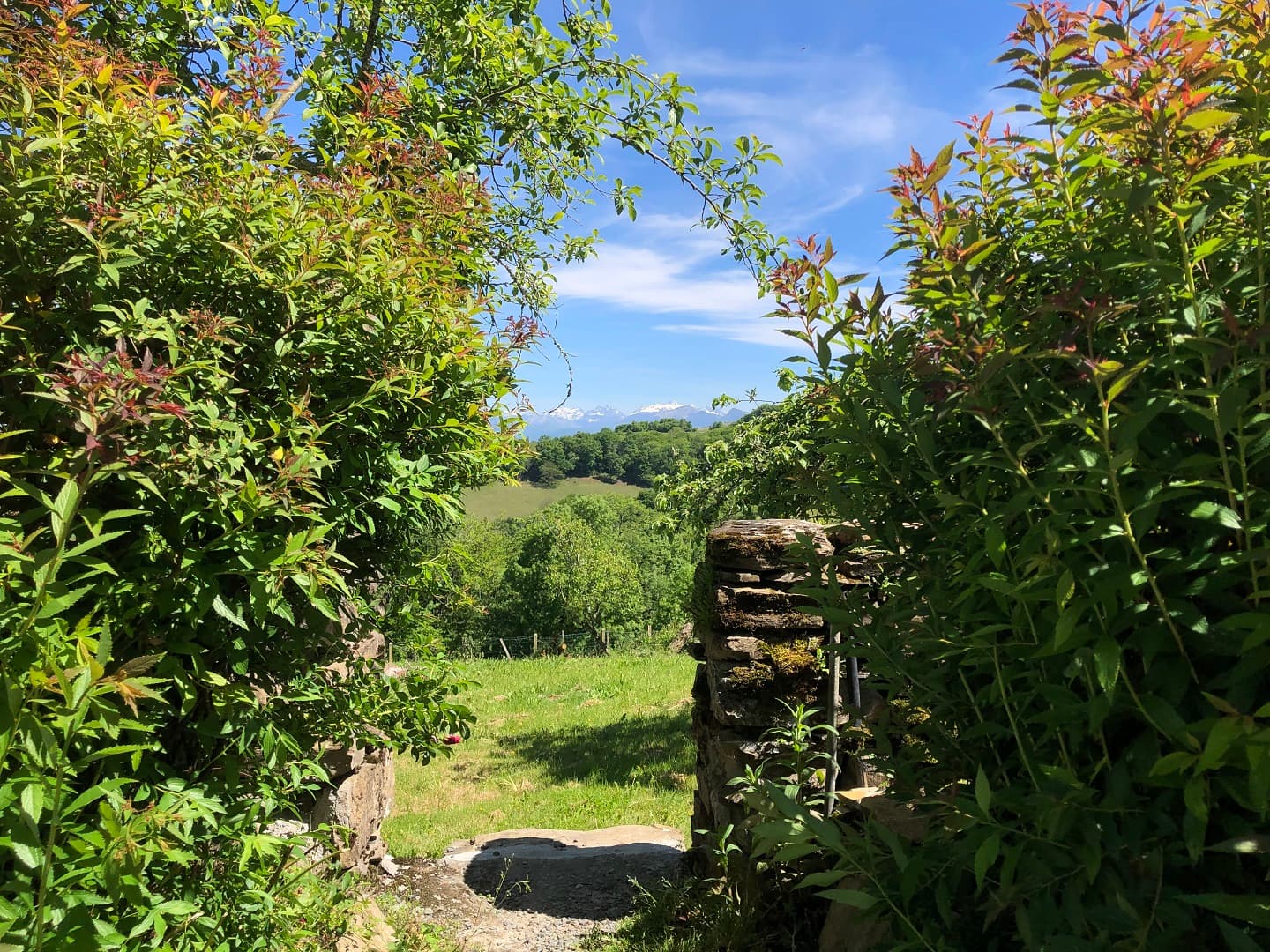 gîte belhars montagne basque Menditte jardin-151