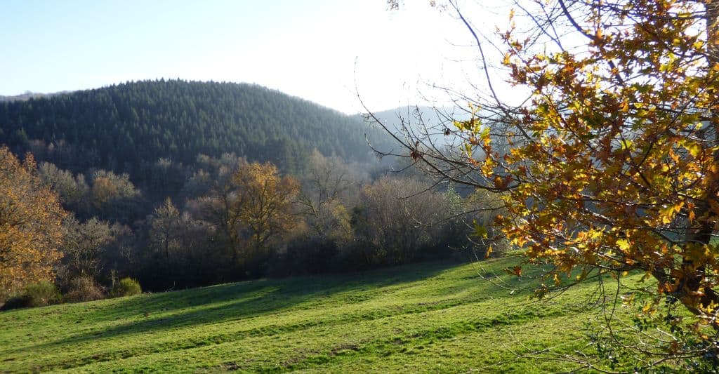 Depuis le jardin, vue sur l’environnement