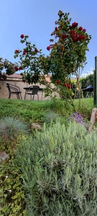 jardin