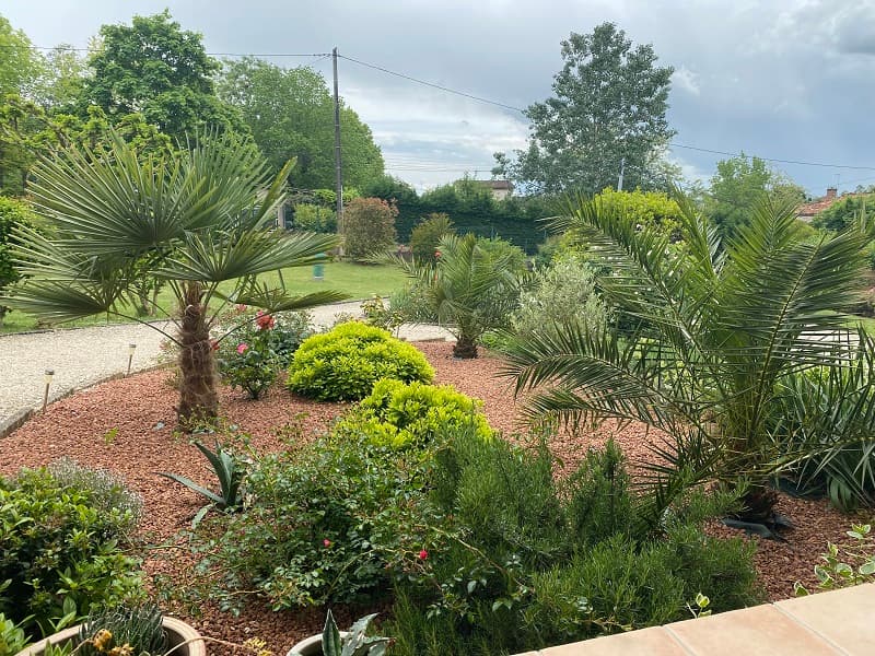 jardin