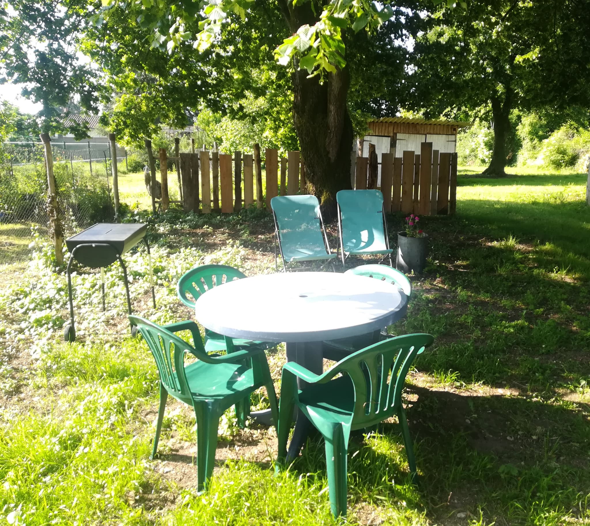 jardin