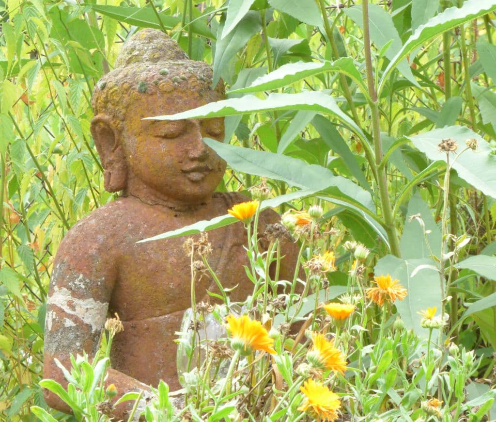 Bouddha en méditation