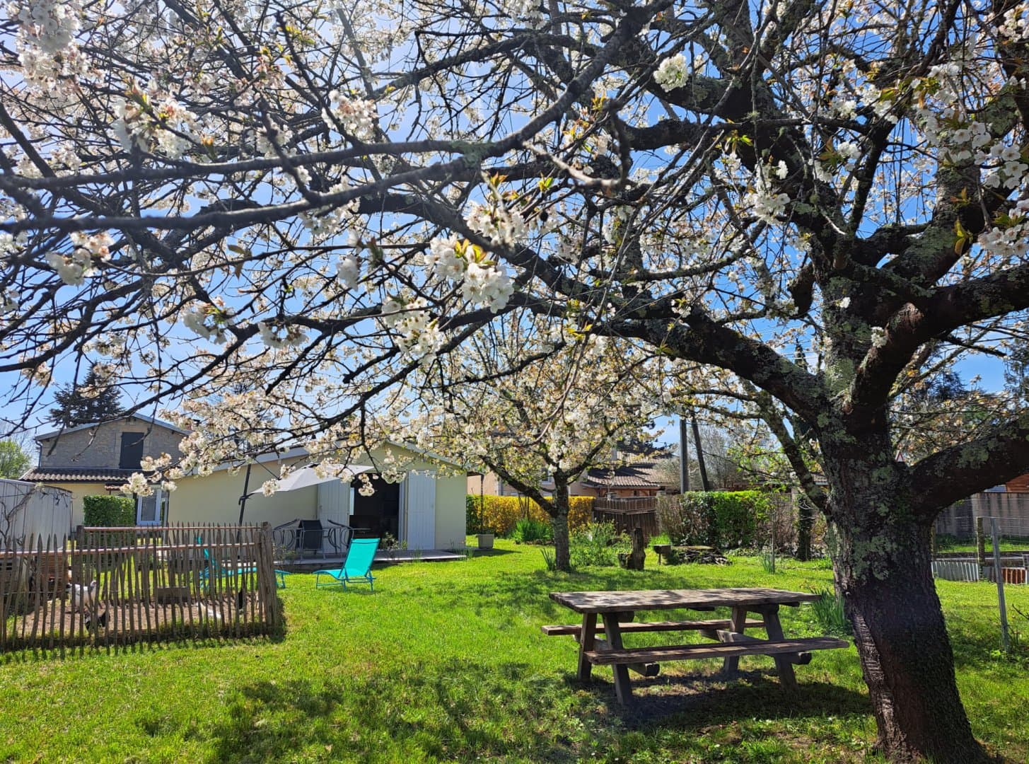 jardin cerisiers