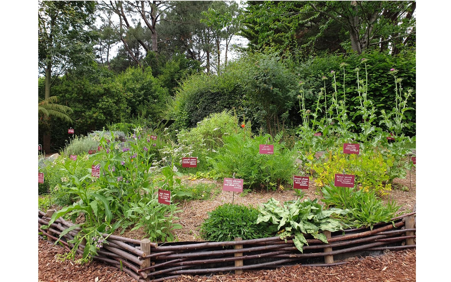 jardin des utiles_TS_1440x900