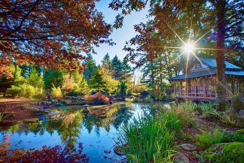 jardin japonais
