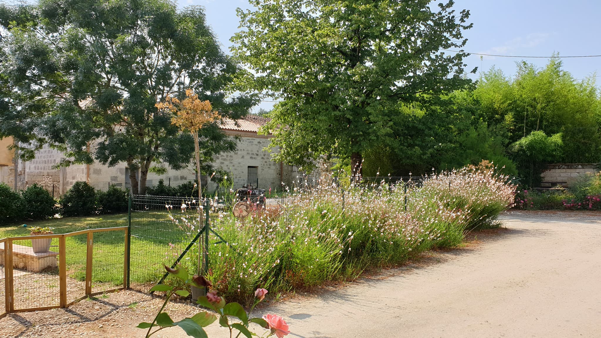 jardin mara des bois