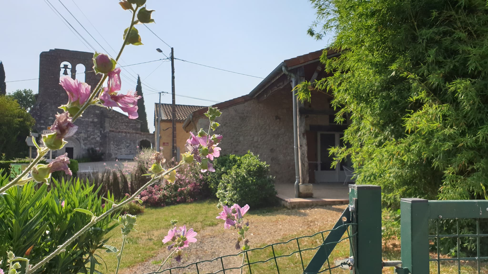 jardin noisette