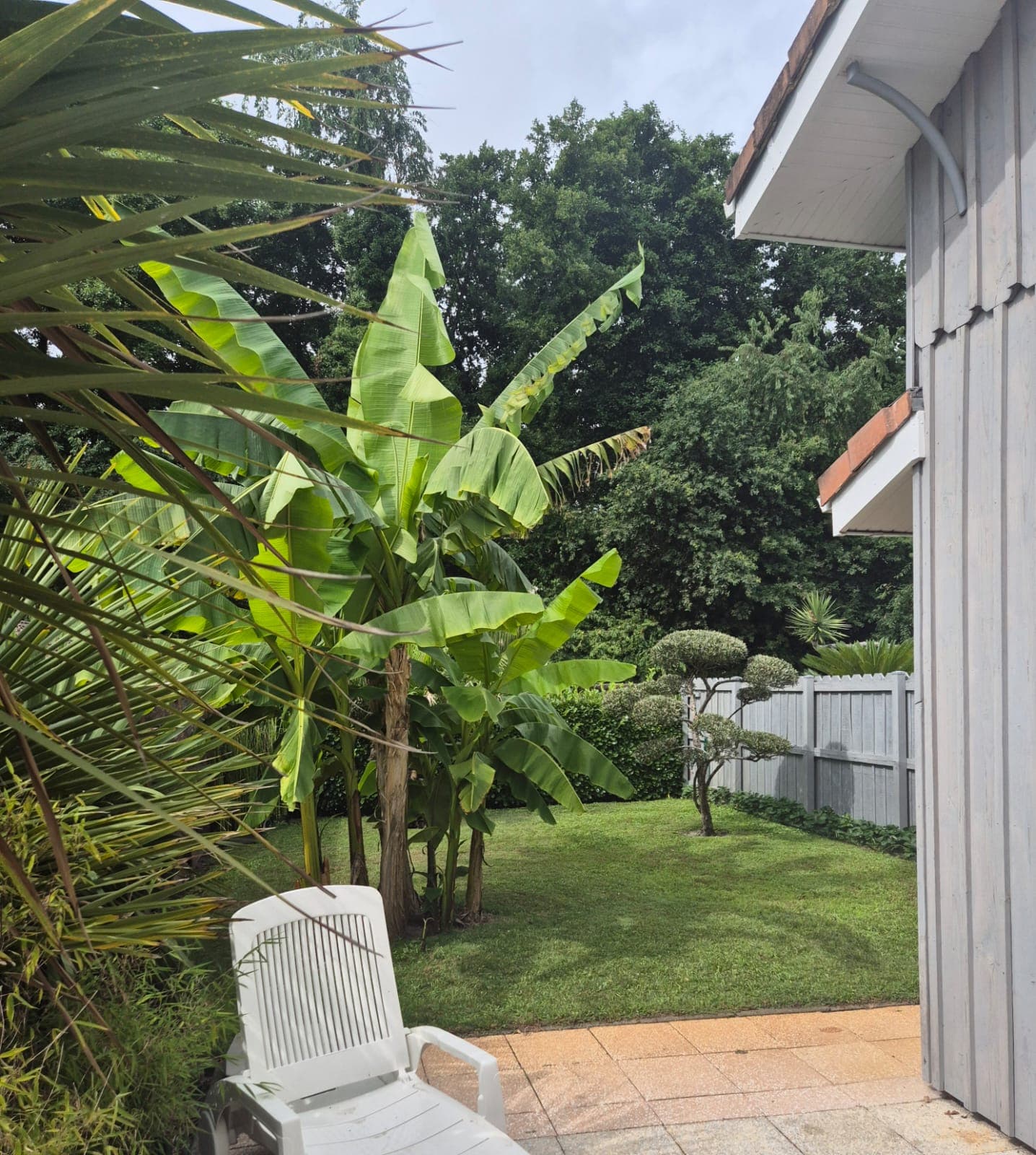 jardin vue 1