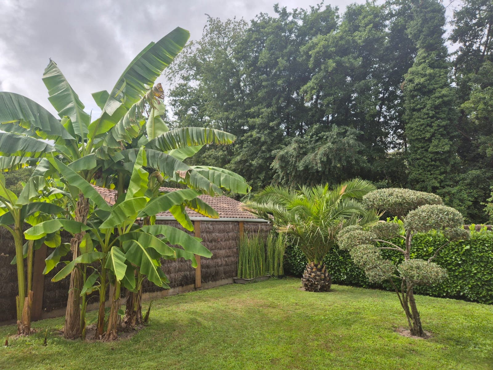jardin vue 3