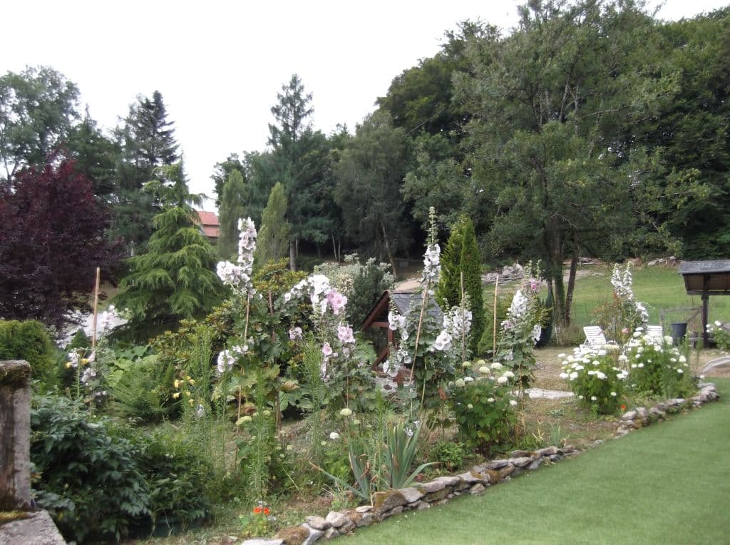 jardin2