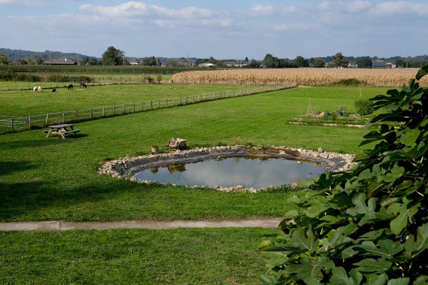 vue des fenêtres