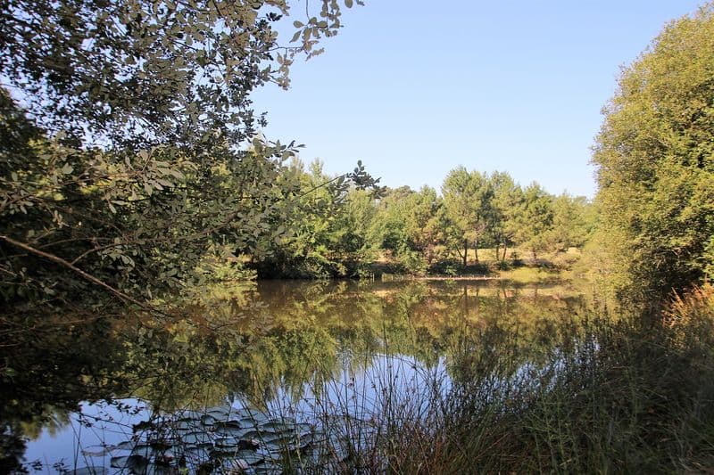 ST Jean du Claud