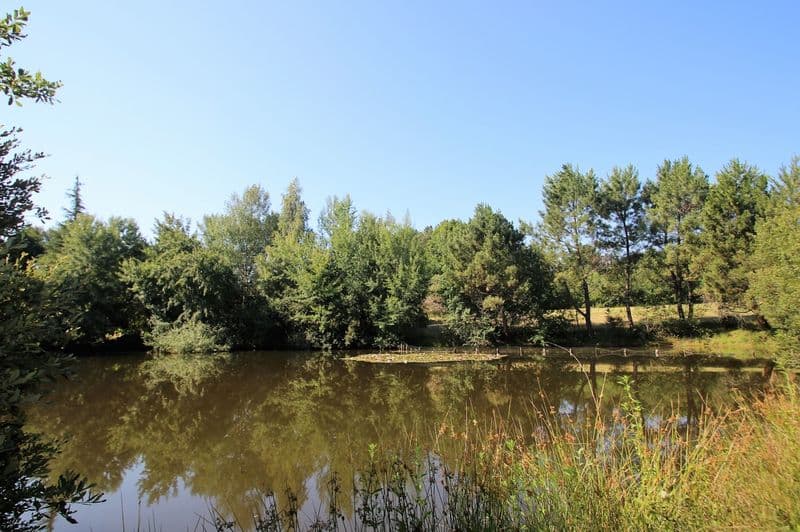 ST Jean du Claud