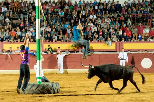 jeu balançoire_VieuxBoucau_Landesatlantiquesud.com