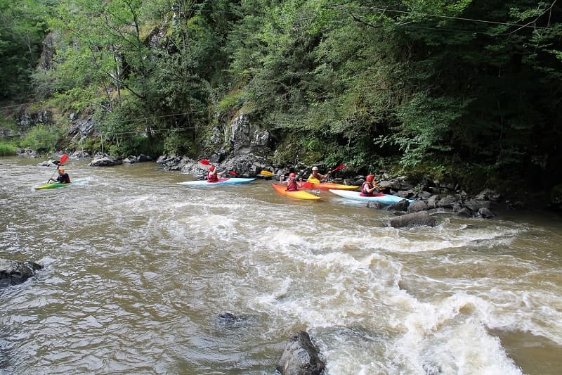 kayak au vive