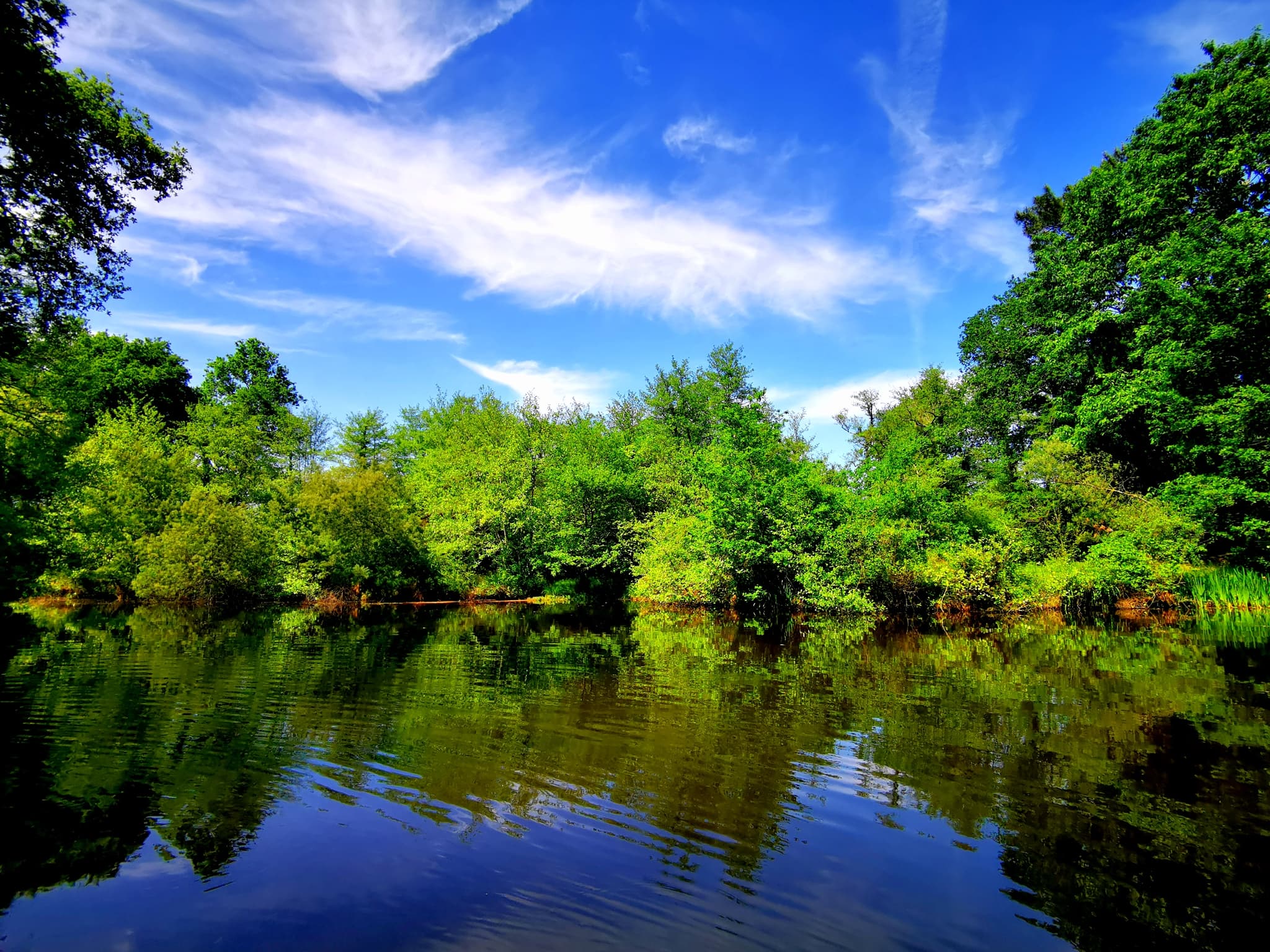 l'etang