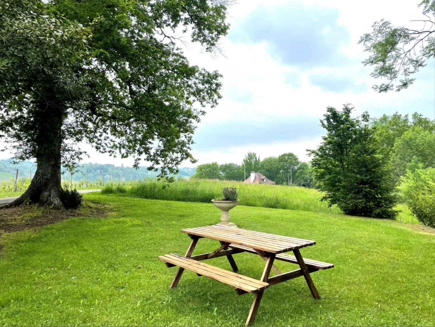 Meublé Lacoste - Laroin - jardin