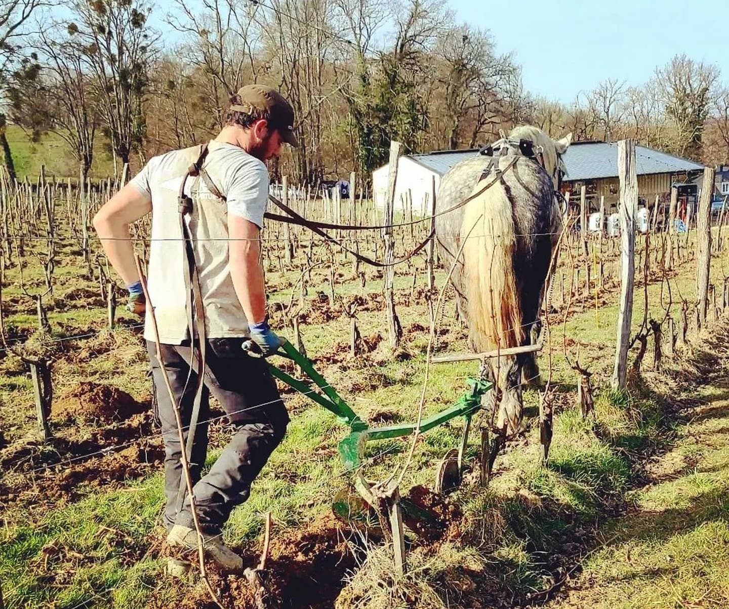Clos Larrouyat - Gan - aux labours