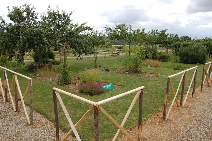 Arboretum - La Bussière