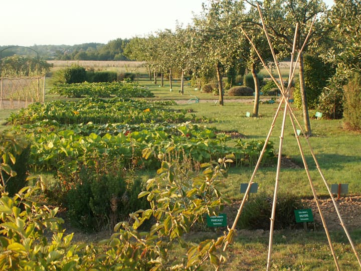 Arboretum - La Bussière