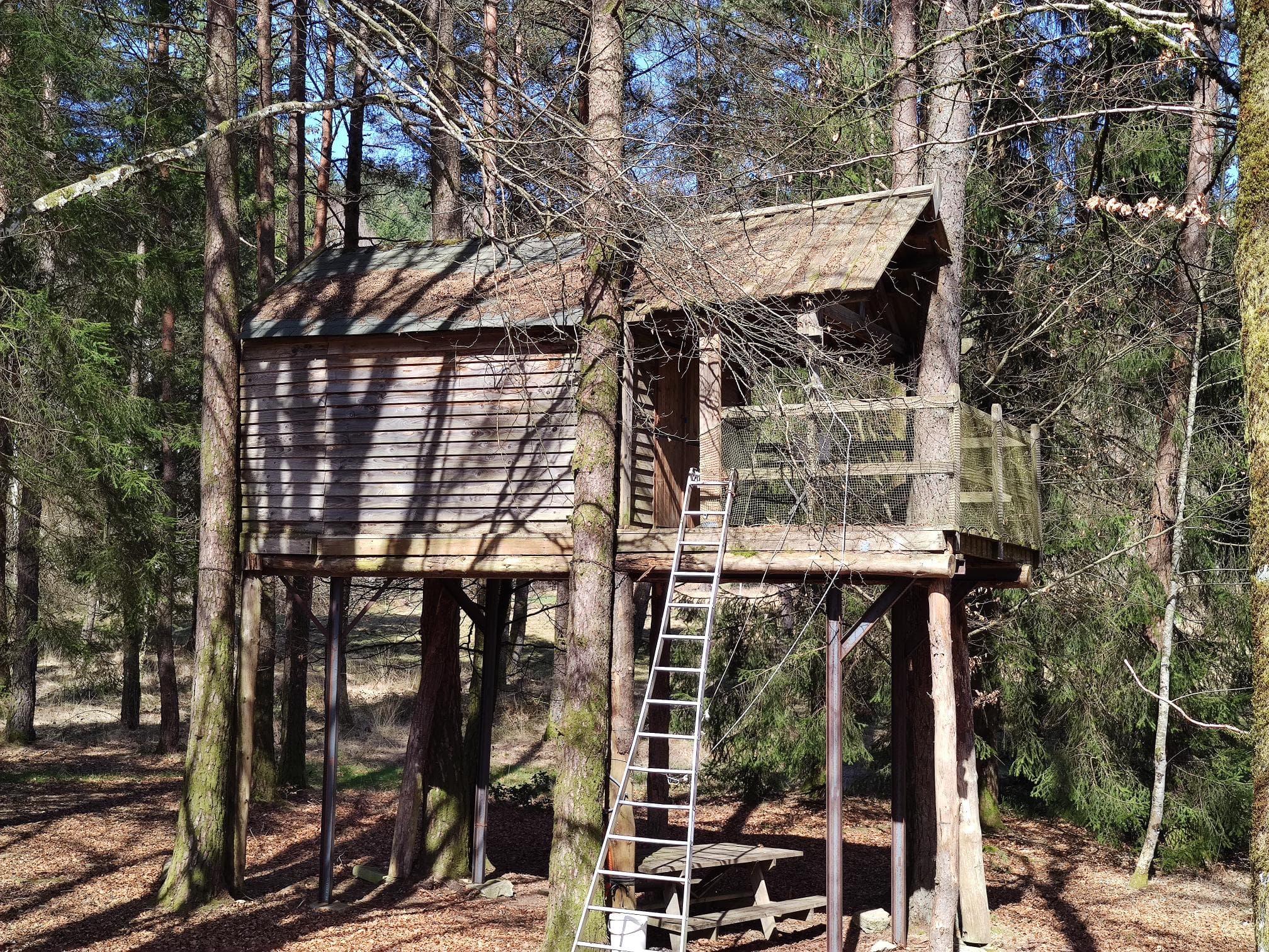 la cabane dans les arbres