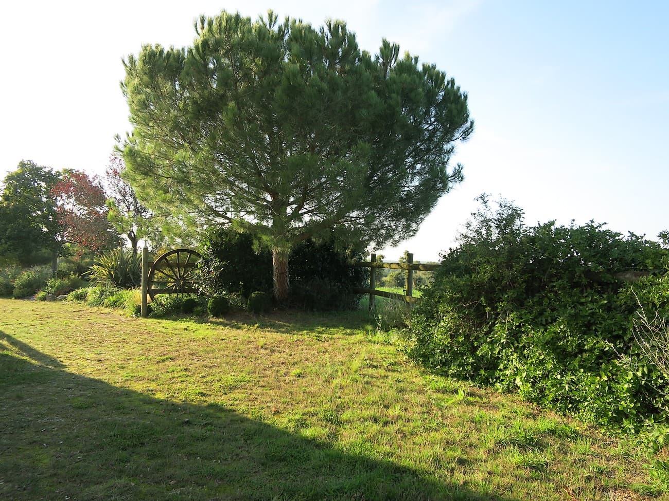 la-chapelle-gaudin-gite-harmonium-jardin2
