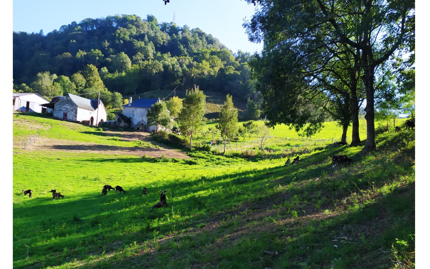 la ferme