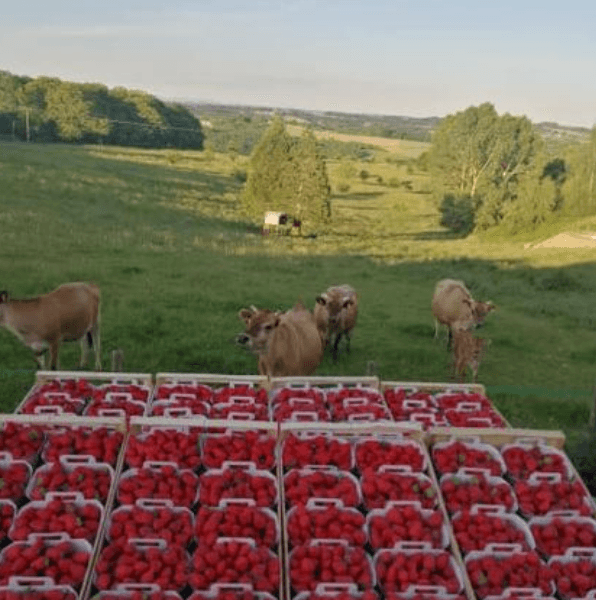 la-ferme-des-parettes-1