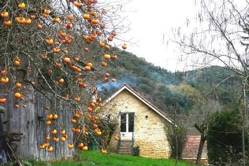 la haute paponie
