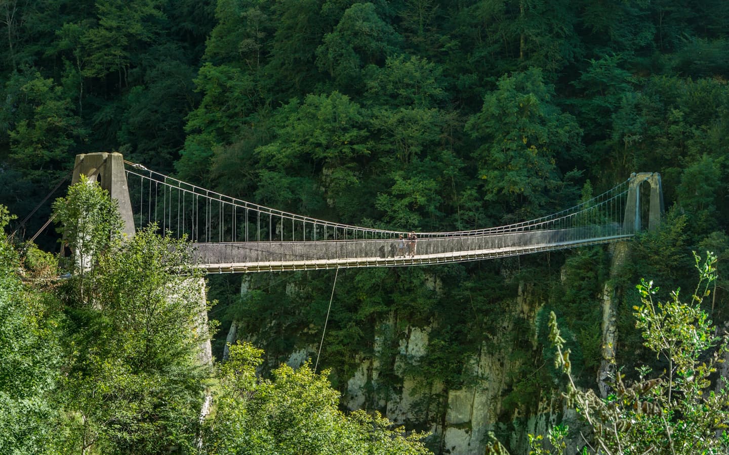 Passerelle d'Holzarte Soule Pays basque