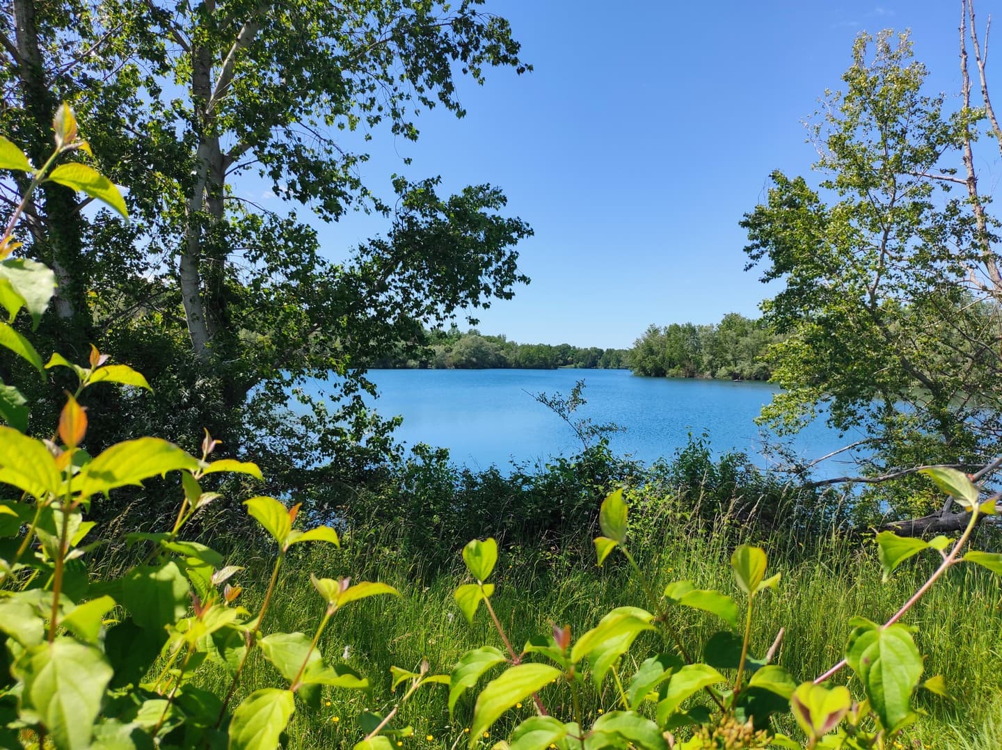 lac 2
