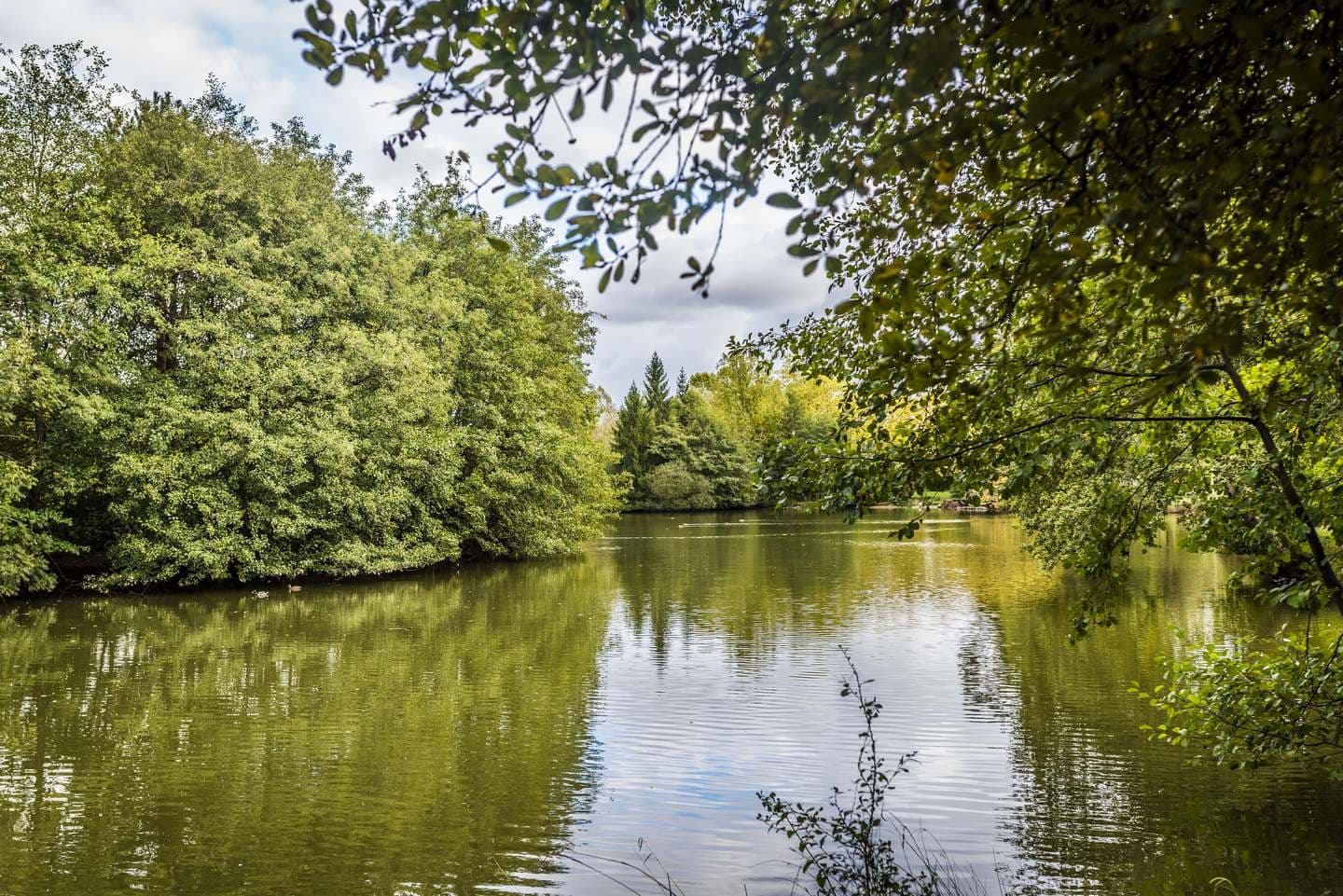Lac des carolins - Lescar - le lac