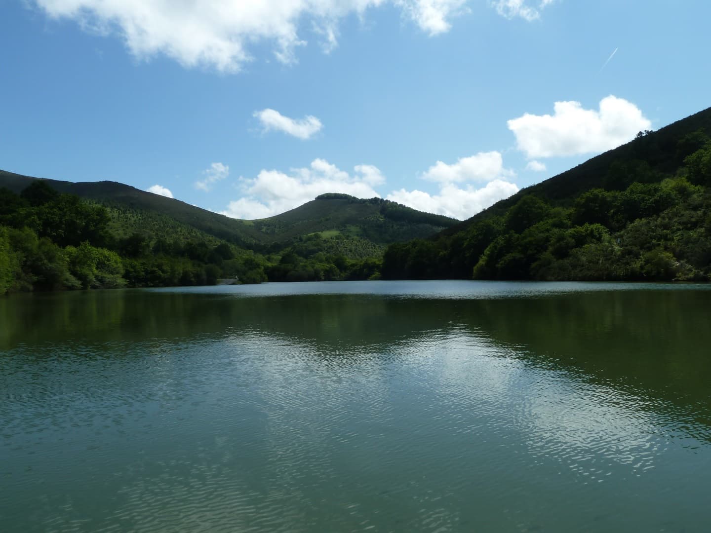 lac_4