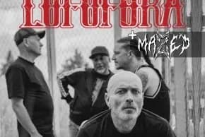 lafofora + Maze'D