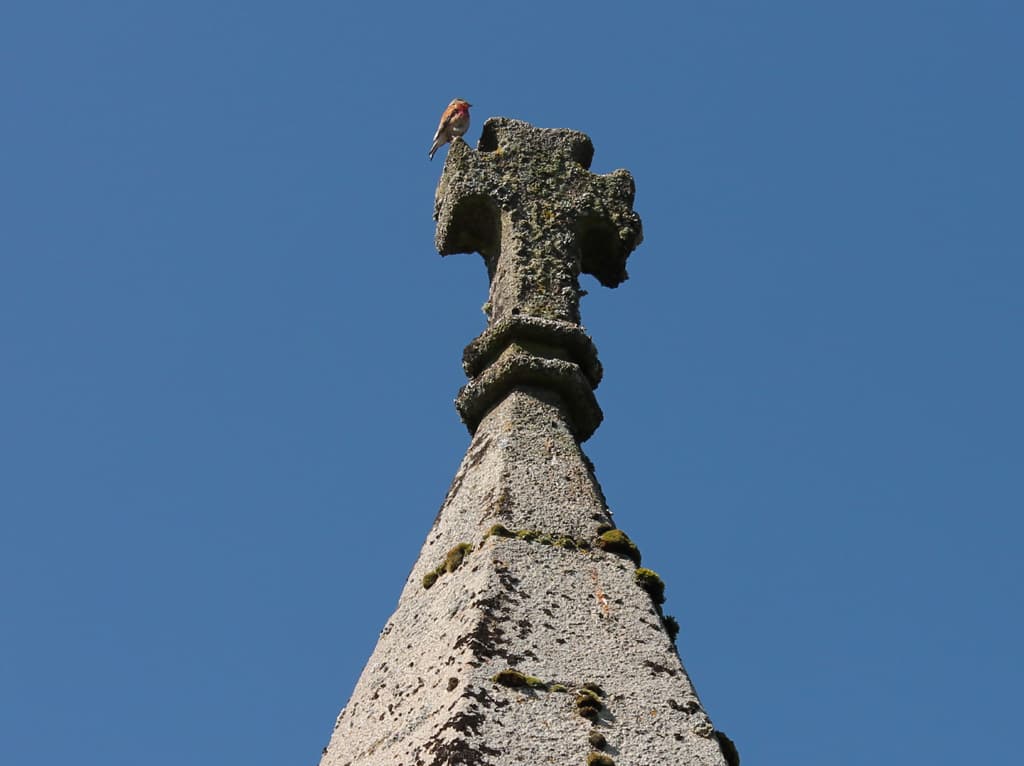 lanterne des morts La Souterraine détail