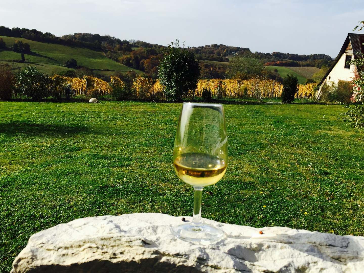 Cru Larose - St Faust - la vue