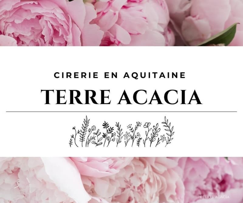 lauzun-terre_acacia-logo