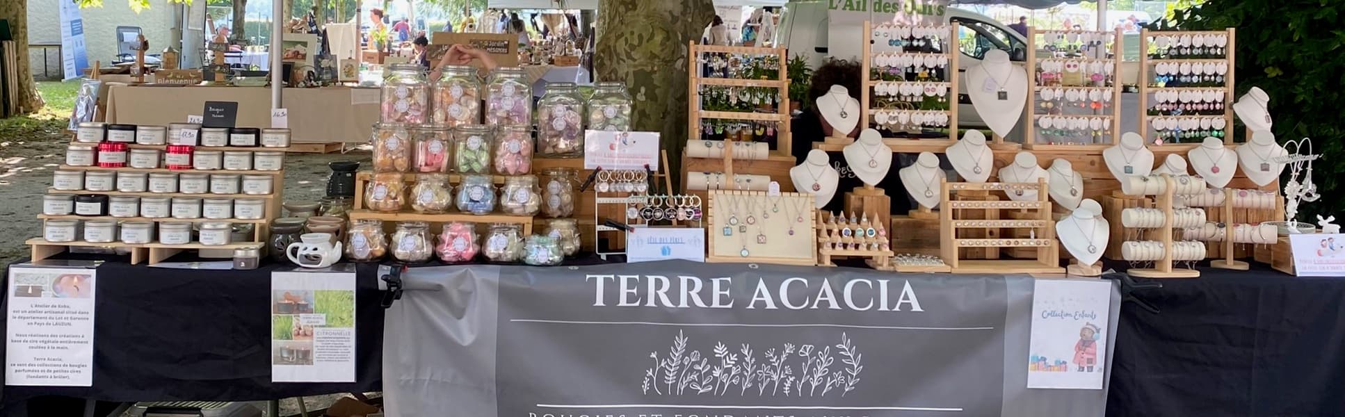 lauzun-terre_acacia-stand