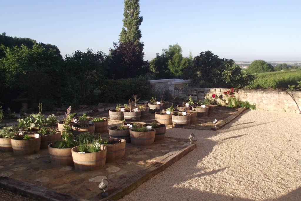Manoir de Lavauguyot_2