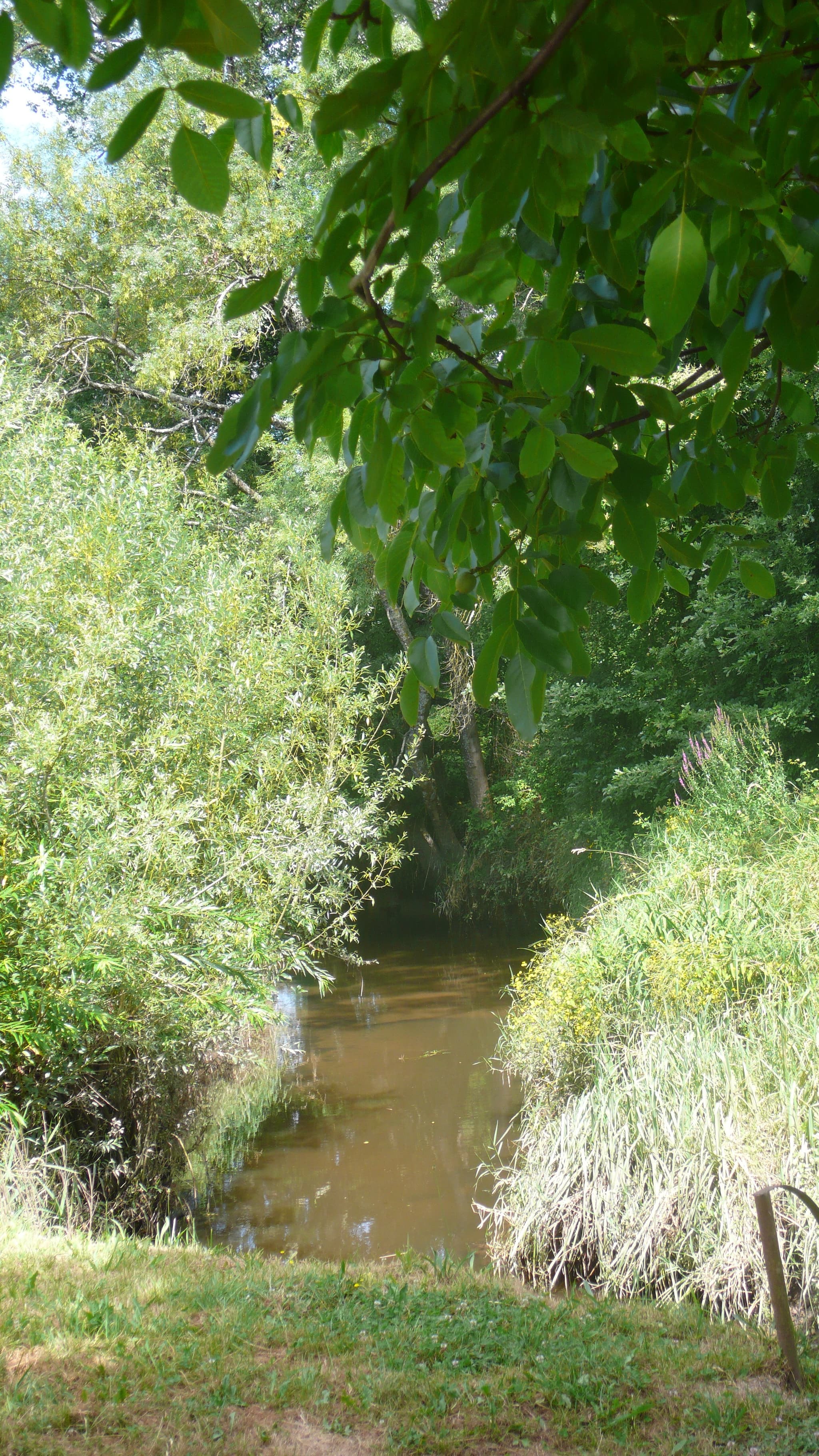 lavoir castre