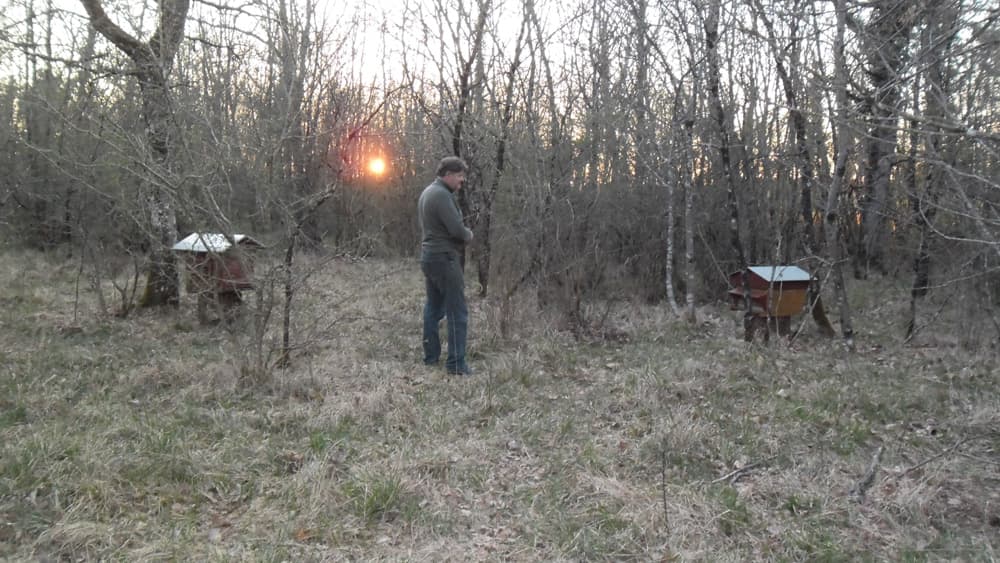 Ferme aux Abeilles_1
