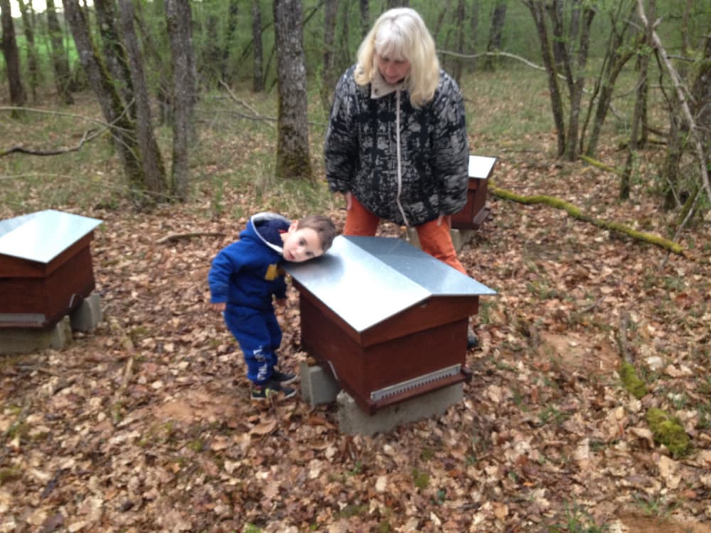 Ferme aux Abeilles_6
