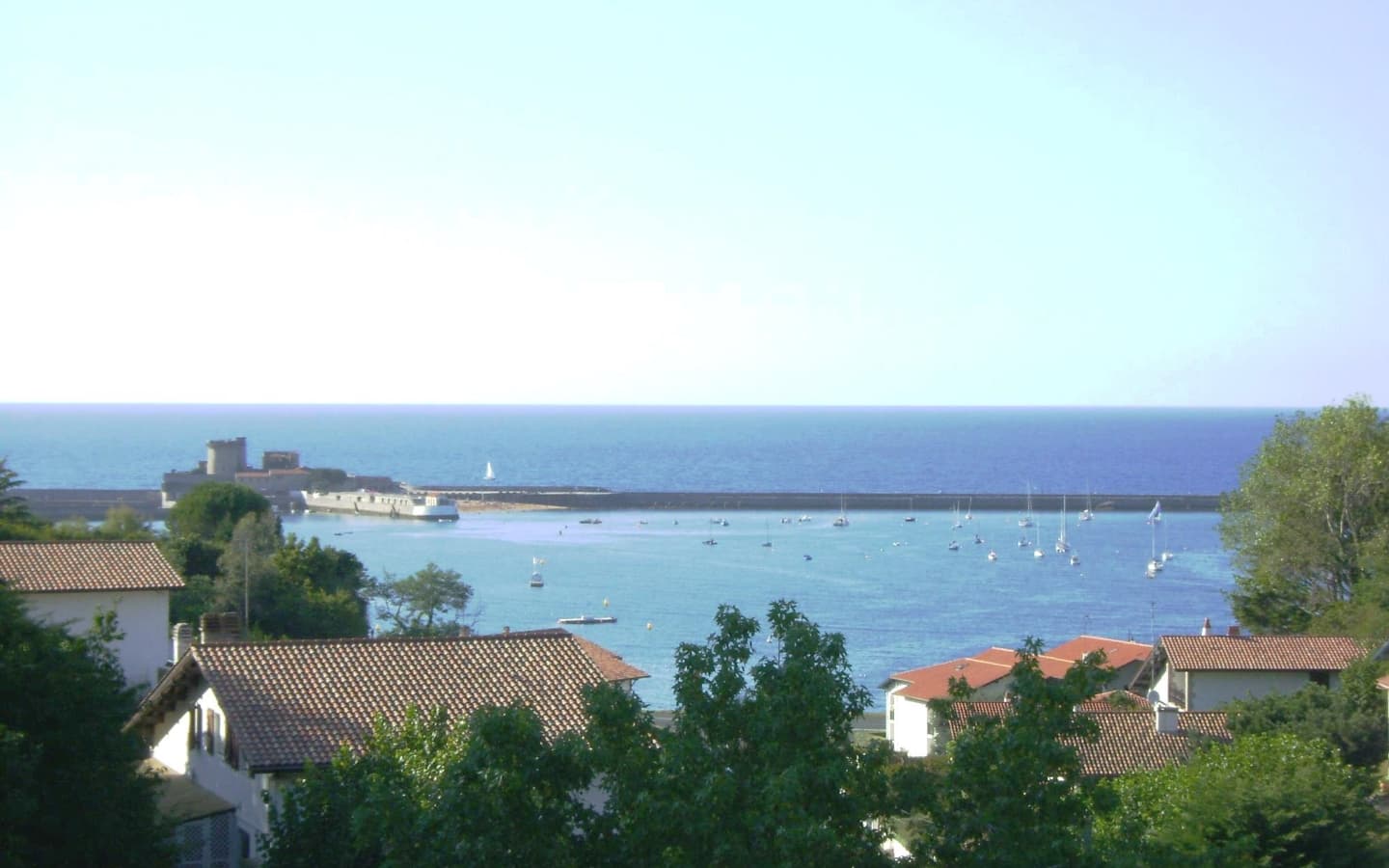 le-cedre-bleu-4-1440x900