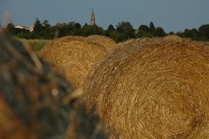 le chintre campagne