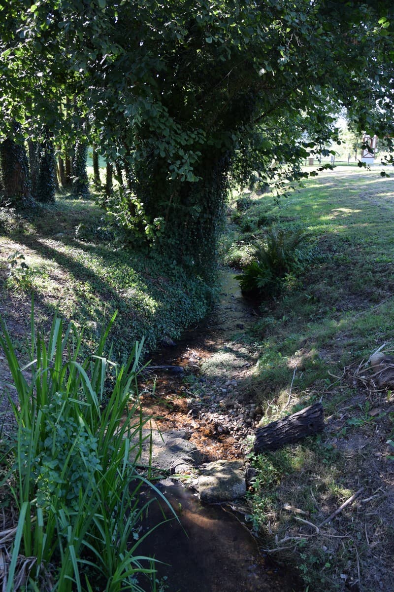 le-jaure--17-