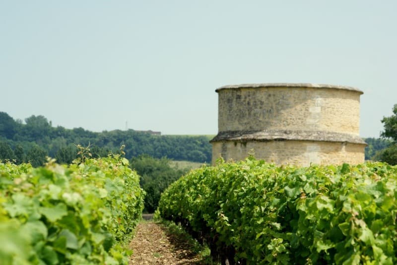 Destination Garonne, Pigeonnier du Château de Rolland, Barsac