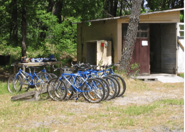 le-velo-en-foret_large